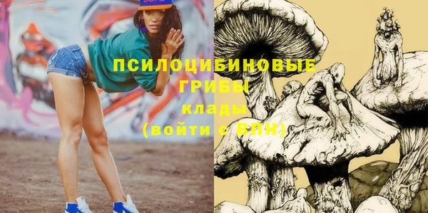 гидра Беломорск